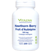 Hawthorn Berry