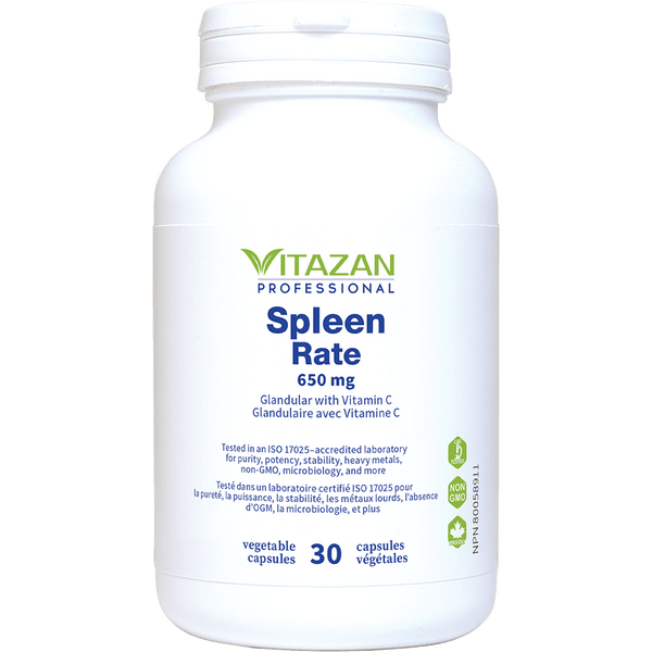 Spleen