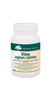 Vitex agnus-castus