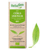 G57 - Citrus limonum - citronnier
