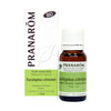 Eucalyptus citronné