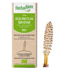 G54 - Equisetum arvense - Prêle