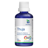 Thuja