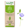 G89 - Vinca minor - pervenche mineure