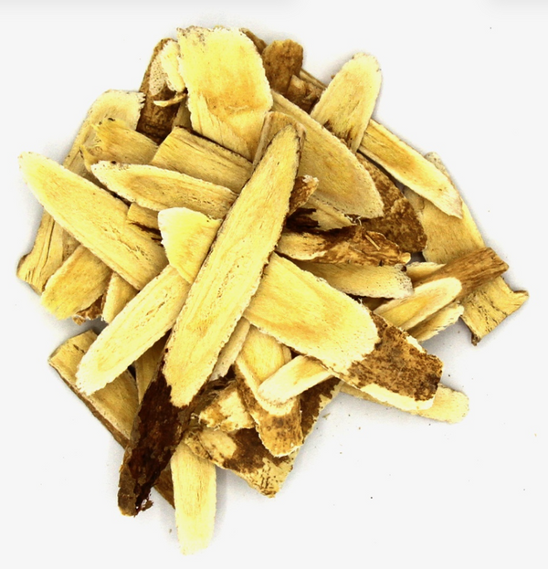 Astragale - Racine