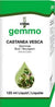 Castanea vesca
