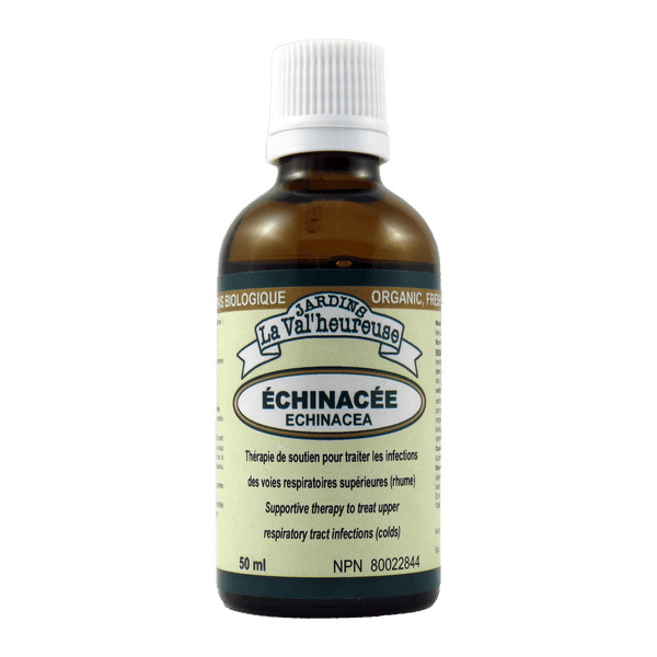 Échinacée