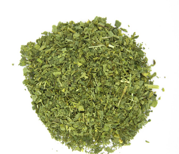 Ortie - feuille coupée