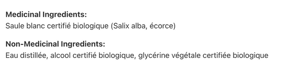 Saule blanc