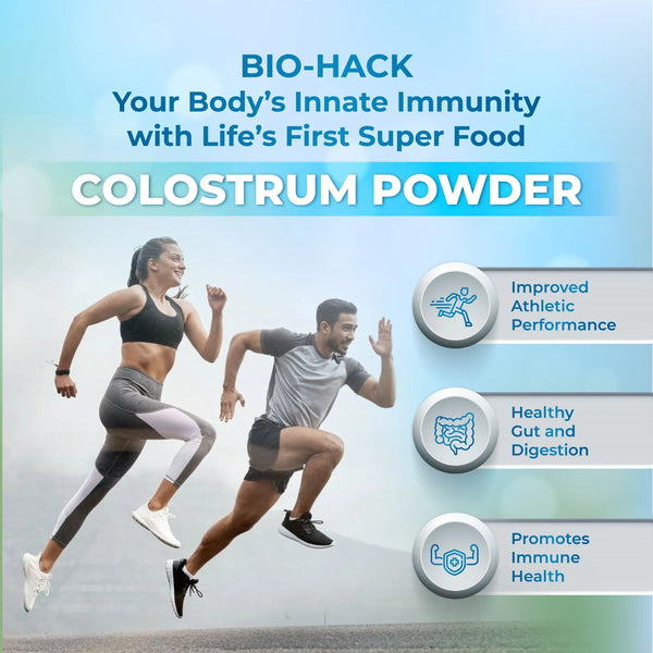 Colostrum bovin en poudre