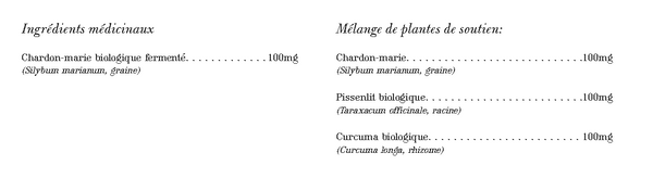 Chardon Marie Vivant