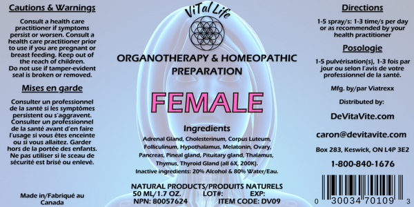 Female (Anciennement Fem +)