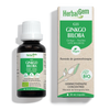 Ginkgo biloba (Ginkgo) G55