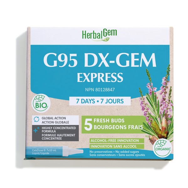 G95 DX-GEM EXPRESS - 7 jours