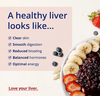 Healthy Liver