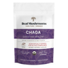 Extrait de Chaga (poudre)