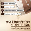 Crémeur à café aux 5 champignons