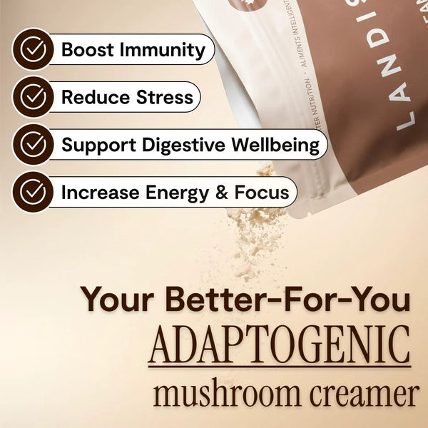 Crémeur à café aux 5 champignons