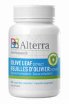 Feuille d'olivier - Olive Leaf