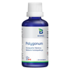 Polygonum