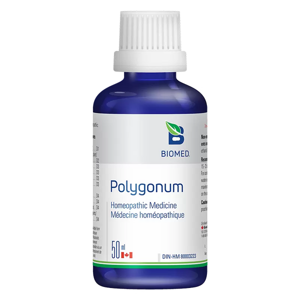 Polygonum