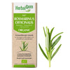 G67 - Rosmarinus Officinalis