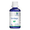 Solidago