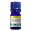 Thym Thuyanol-4Conv.