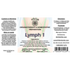 Lymph 1