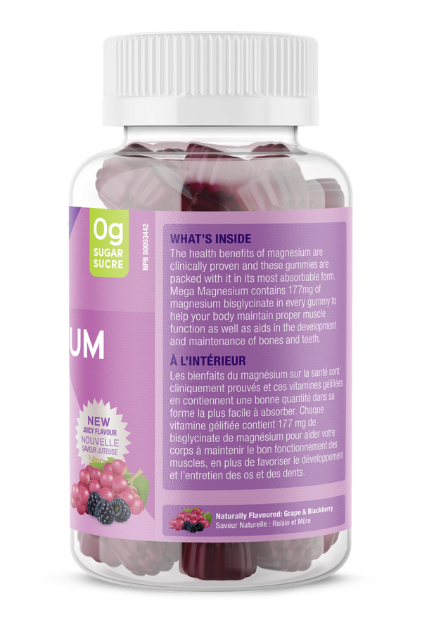 Mega Magnesium - Méga Magnésium