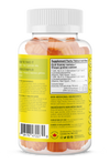 Turmeric - Curcuma