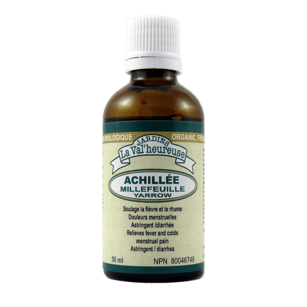 Achillée millefeuille