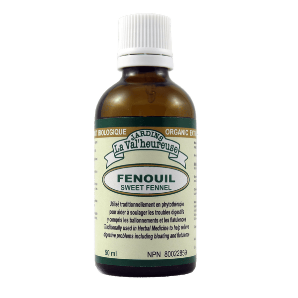 Fenouil