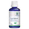 Lycopus