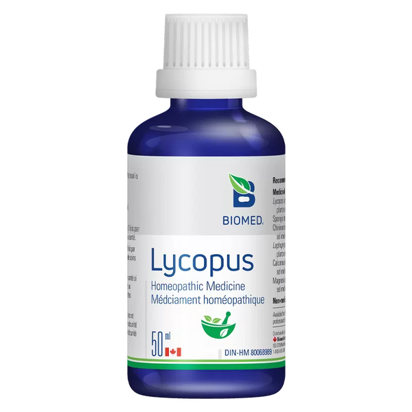 Lycopus