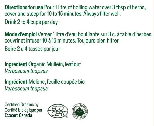 Molène - feuille coupée