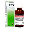 R29