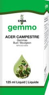 Acer campestre 